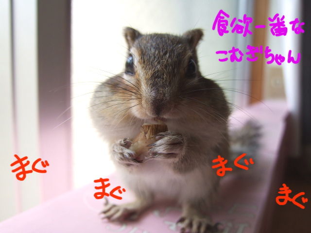 DSCF120430b0020.jpg