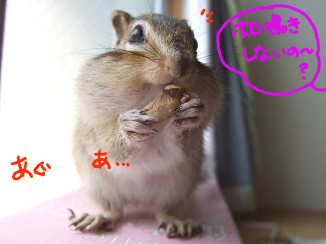 DSCF120430c0019.jpg