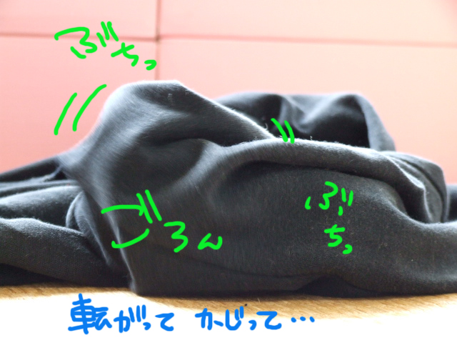 DSCF120507d0747.jpg