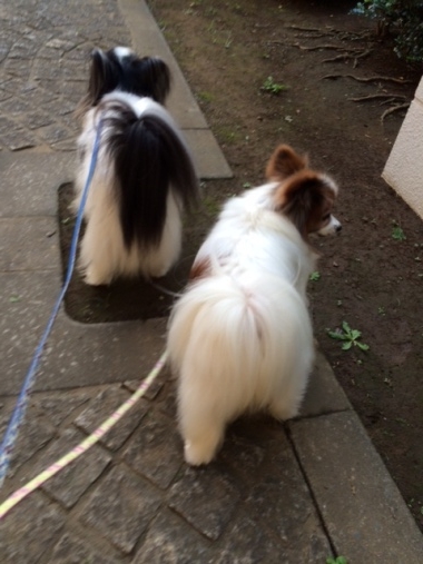 20141008_01.jpg