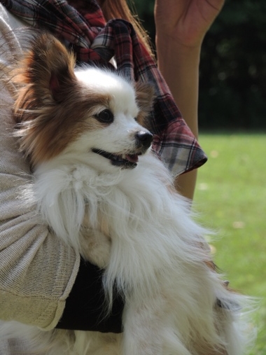 DSCN9830.jpg