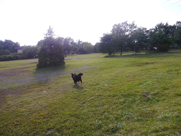 P1310201.jpg