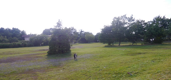 P1310205.jpg