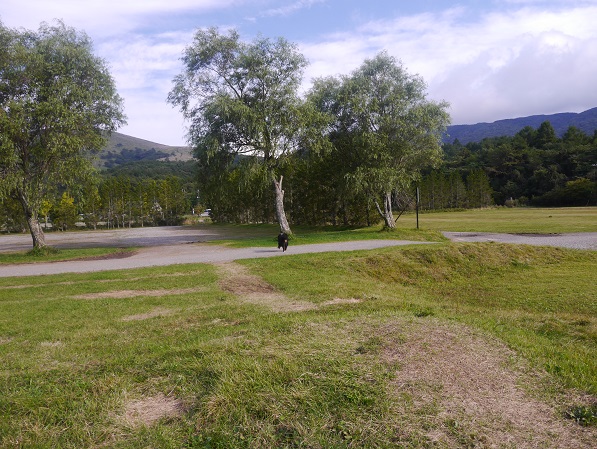 P1310216.jpg