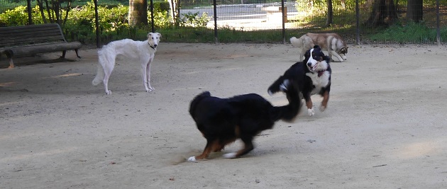 P1310692.jpg