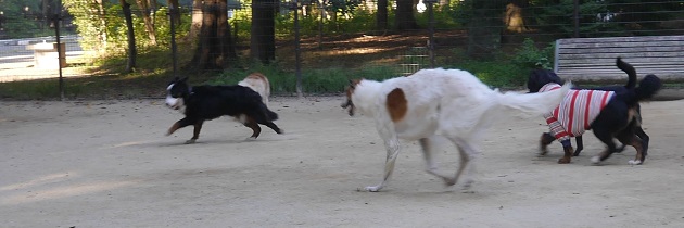 P1310695.jpg