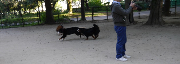P1310743.jpg