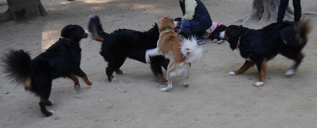 P1310751.jpg
