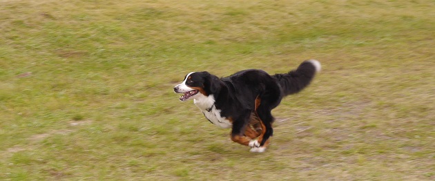 P1320117.jpg