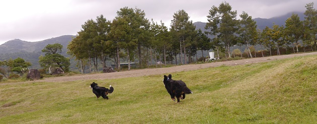 P1320119.jpg