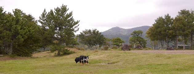 P1320126.jpg