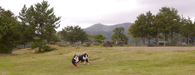 P1320127.jpg