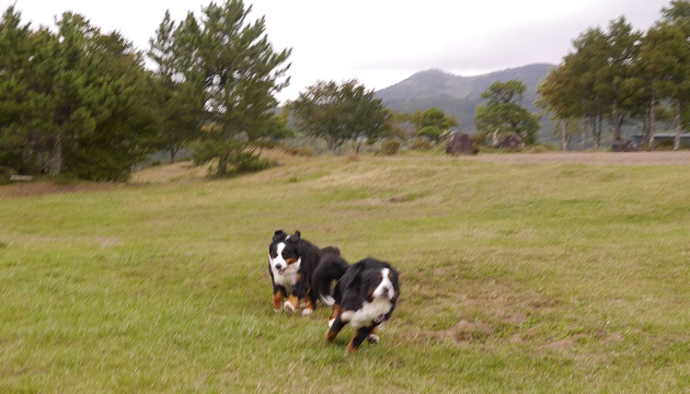 P1320129.jpg