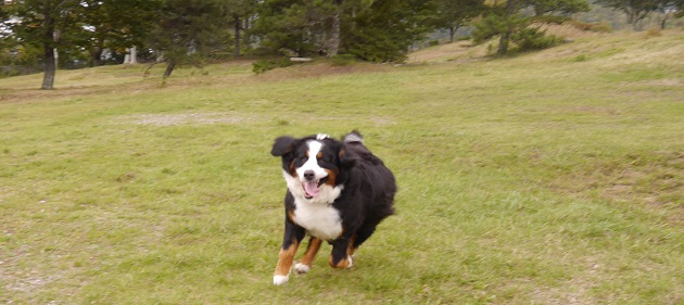 P1320130.jpg