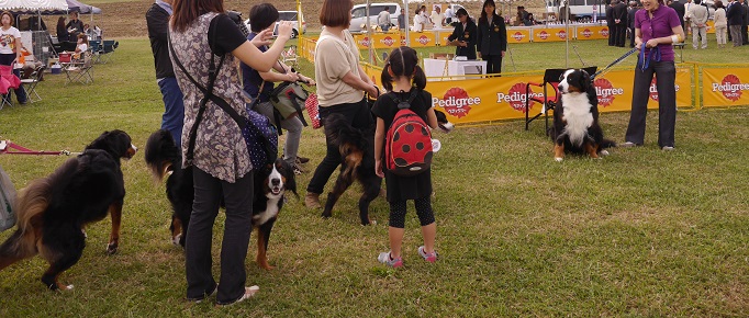 P1320827.jpg