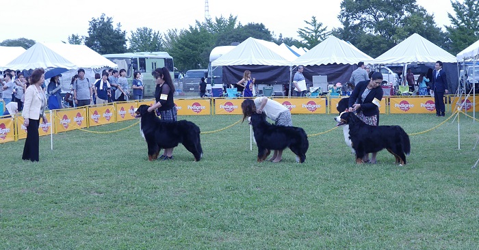 P1320890.jpg