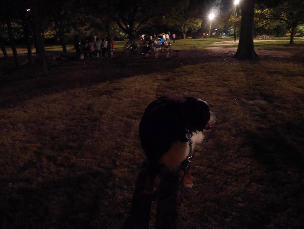 P1330219_20141008203334451.jpg