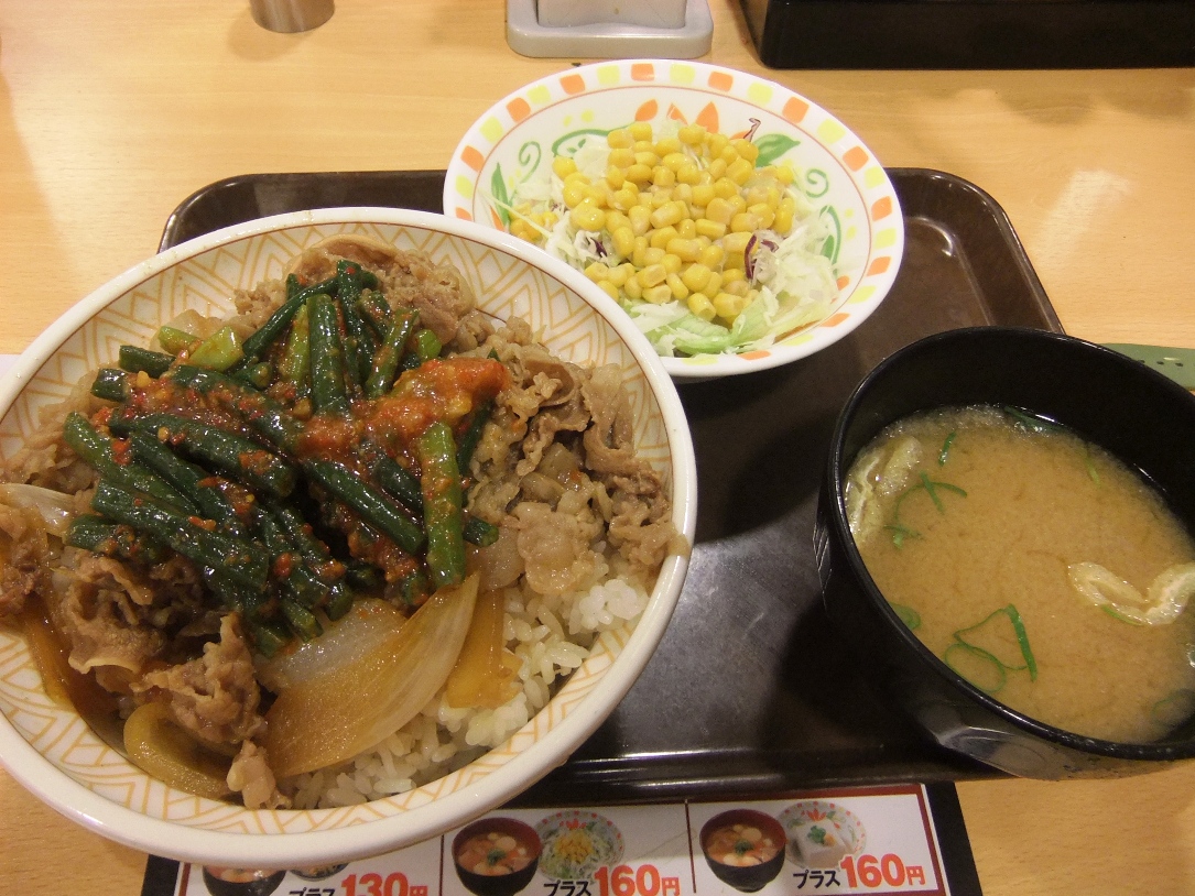 すき家:ニンニク牛丼サラダセット 11.09.12