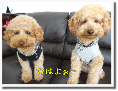 kako-2BfA4fxcdTMwGRVi.png