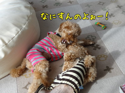 kako-2sfN4H7Kq9JY4qfB.jpg