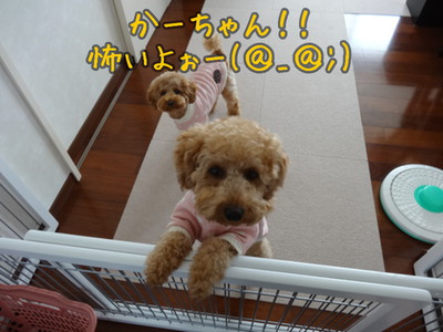 kako-6Yv9knC0PJ4nUqnC.jpg
