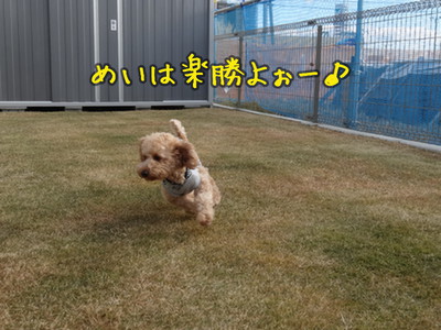 kako-CgSsAdFtq0pQMXT7.jpg