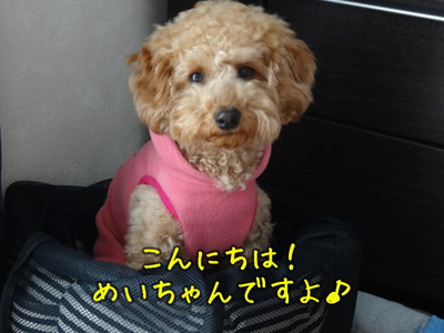kako-D34ogdYGiECwf22b.jpg