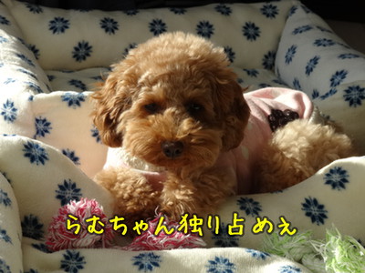 kako-PRST45HMVHHo13mg.jpg