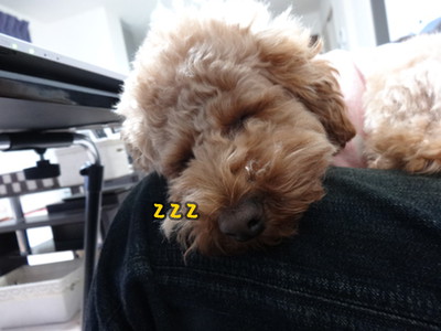 kako-Q37zQ6xALac7O6b5.jpg