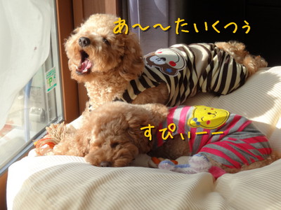 kako-QeDIjm7ejCXTY02j.jpg