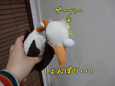 kako-TXhpw8NF8iIMqzbo.jpg