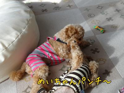 kako-bJZEBNHkKmKIHoKN.jpg