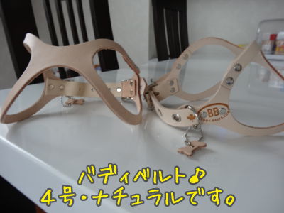 kako-bNbTBCy9syaKX401.jpg