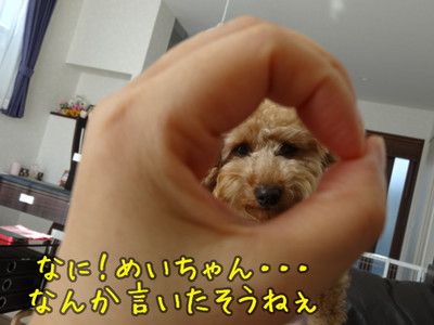 kako-i0LojCGbOHL7eBe9.jpg