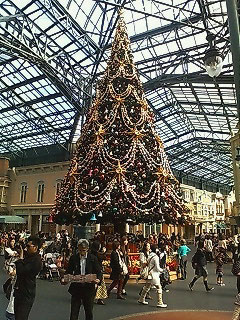 TDL クリスマスツリー