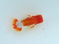 2013-09-15 13.58.09