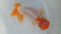 CA3F0113.jpg