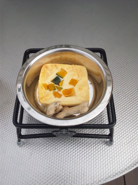 駿河湾ドッグカフェ