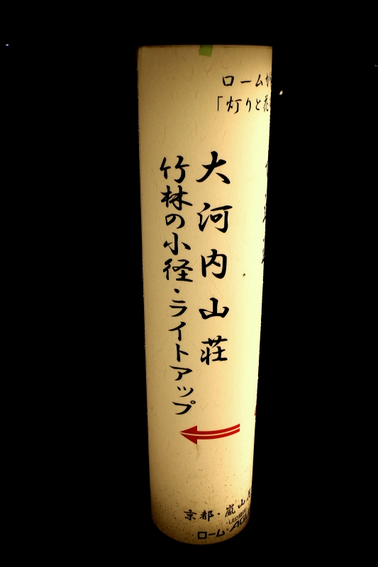 IMG1319.jpg