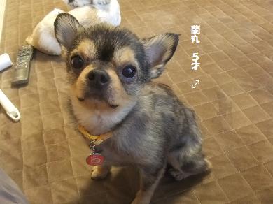 2012021320001934a.jpg