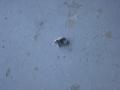 DSC00214_R_20110830091014.jpg