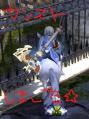 dt2.jpg