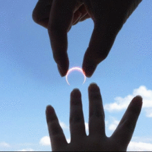 23797293_220x219.gif
