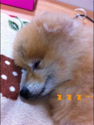 IMG_4398_convert_20120404175243.jpg