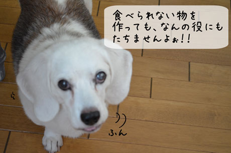 3_20110924173628.jpg