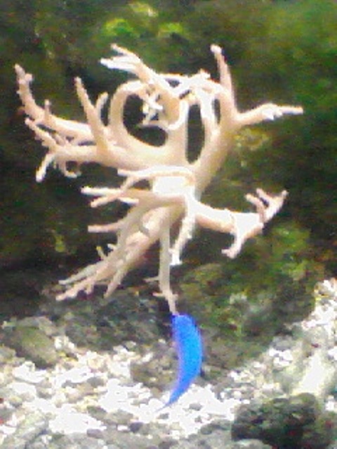 PA0_0060.jpg