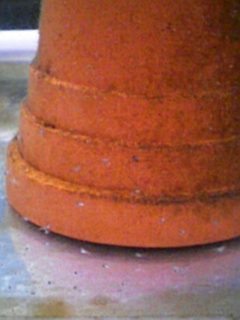 PA0_0315.jpg