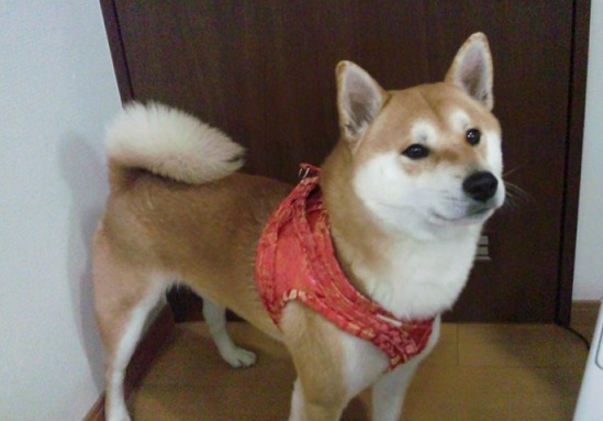 131129_185838fffff.jpg