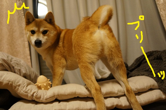 DSC00114asssss.jpg