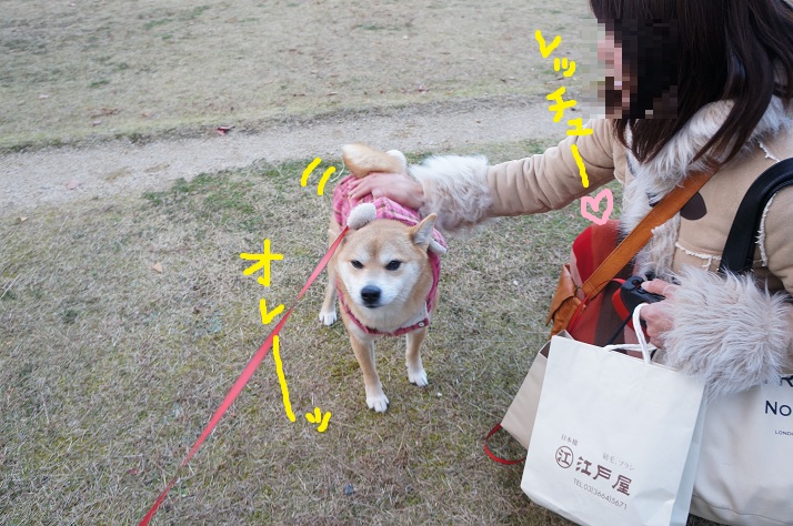 DSC03518kkkk.jpg